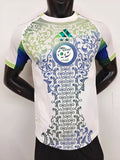 Camisola Argélia conceito 2025-26