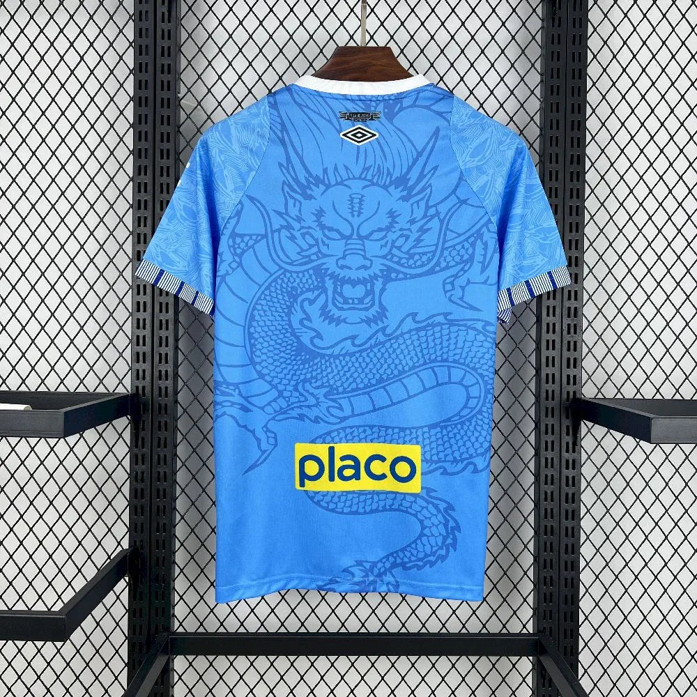Camisola Santos conceito 2025-26