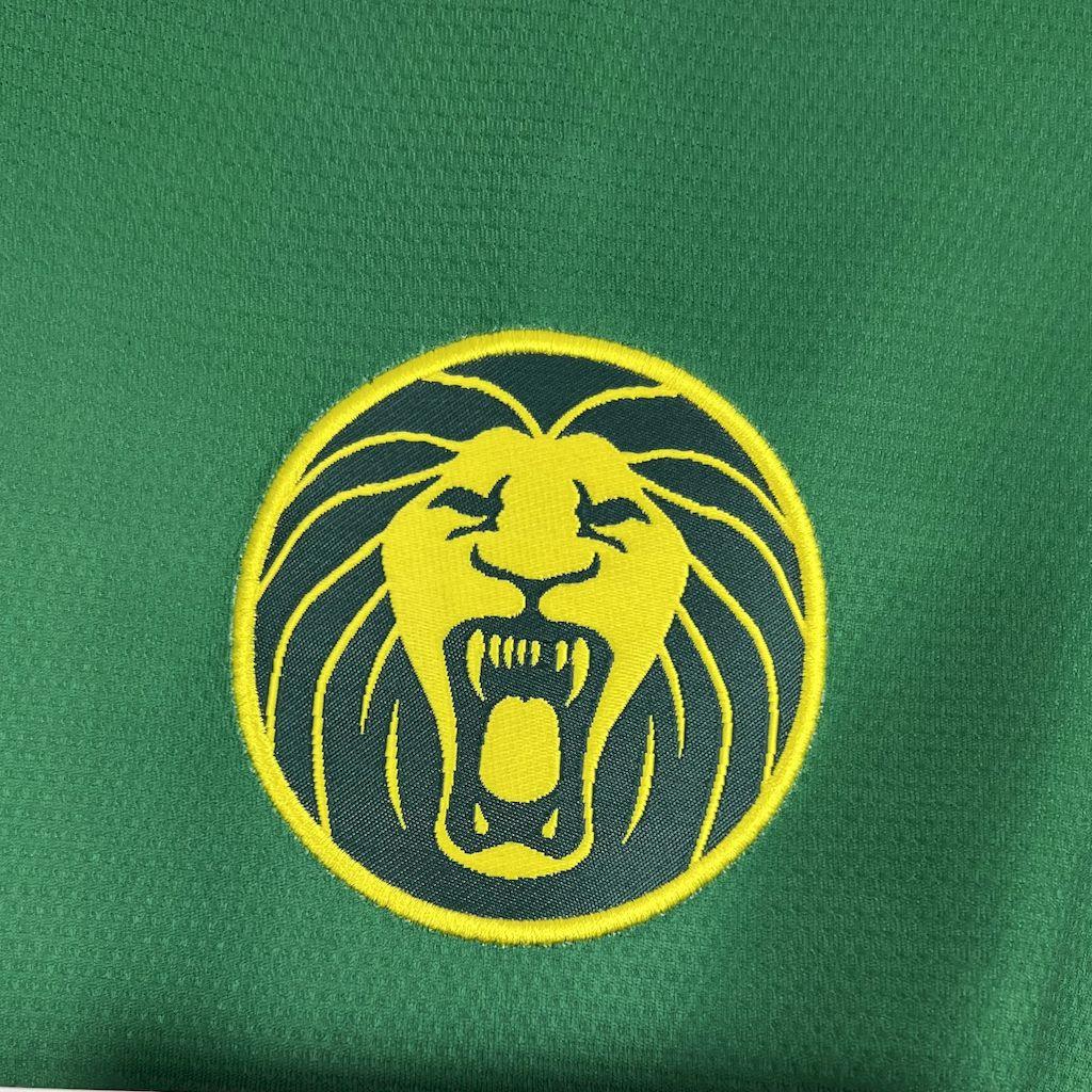 Fotballdrakt Kamerun Afrika Cup 2025/26