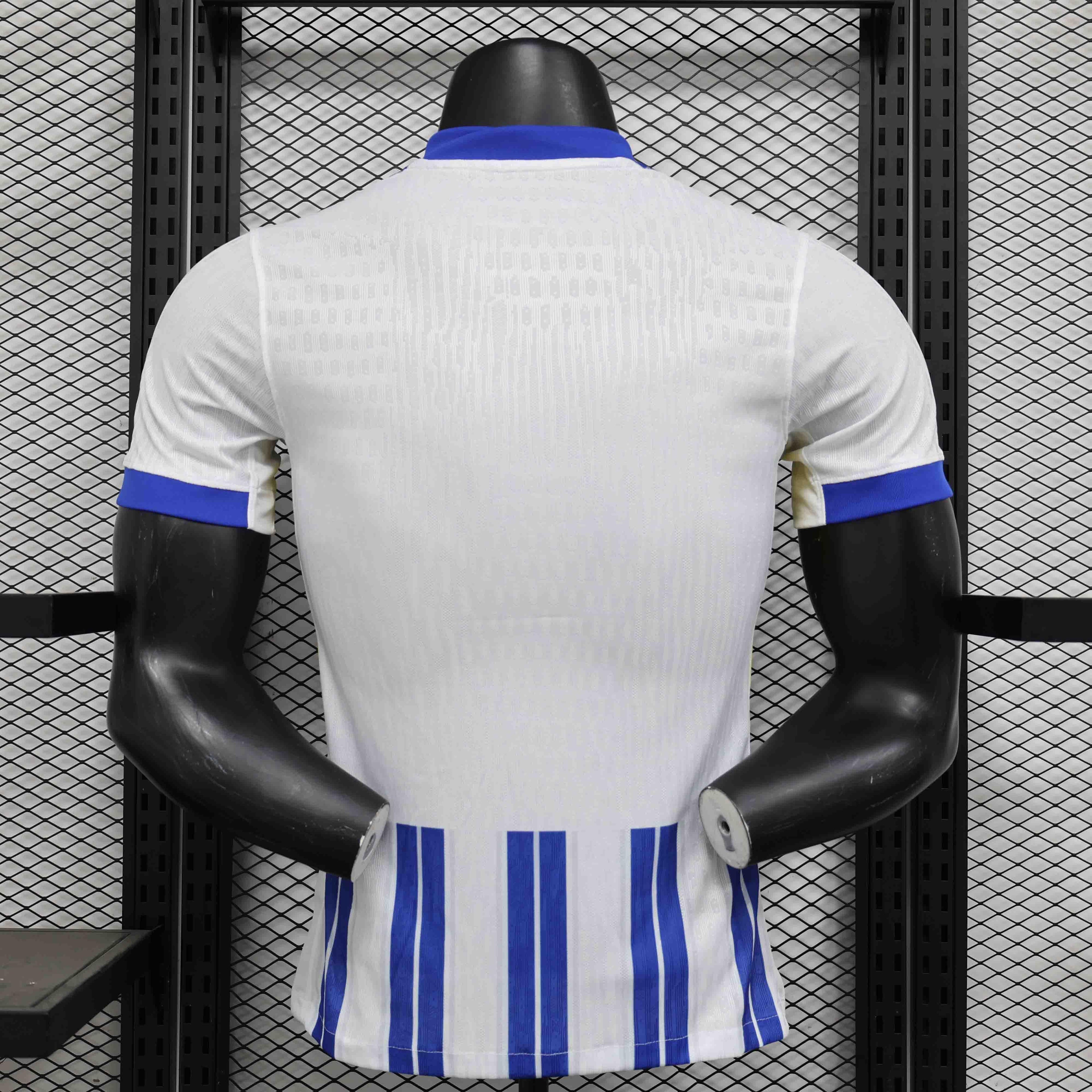 Fotballdrakt Brighton 2024/25