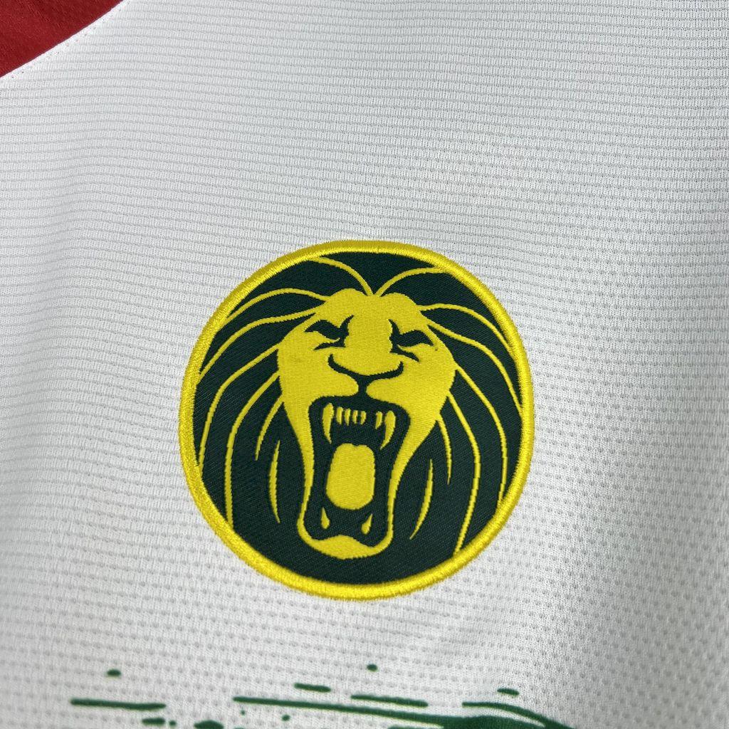 Fotballdrakt Kamerun Afrika Cup 2025/26 II