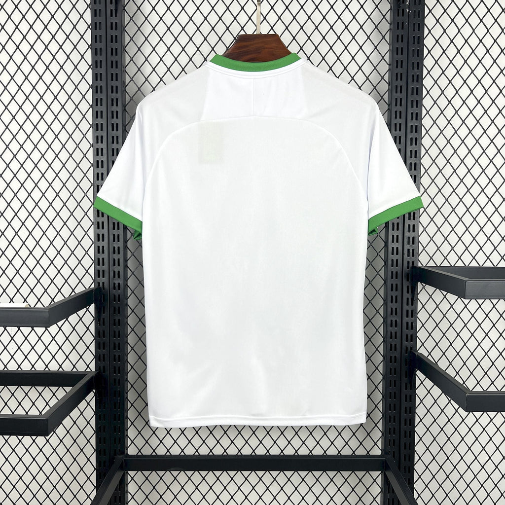 Camisola Irlanda Conceito 2026