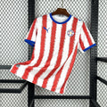 Voetbalshirt Paraguay WK 2026