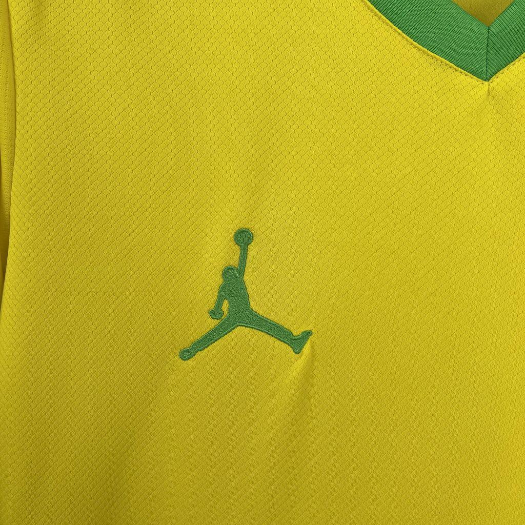 Camisola Brasil conceito 2025