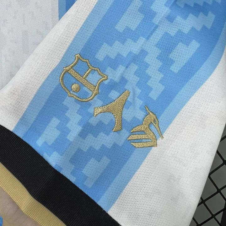Fotballdrakt Argentina konsept 2025/26