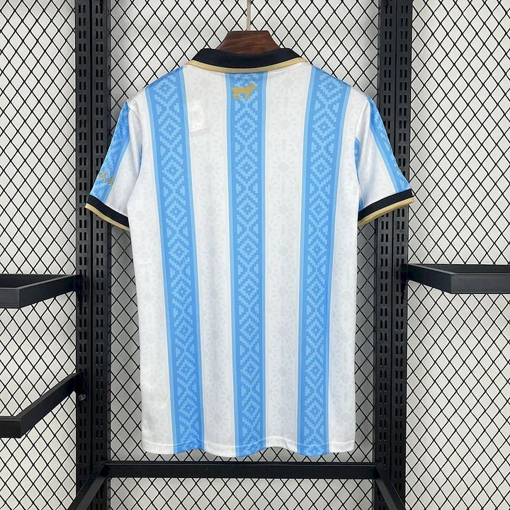 Fotballdrakt Argentina konsept 2025/26
